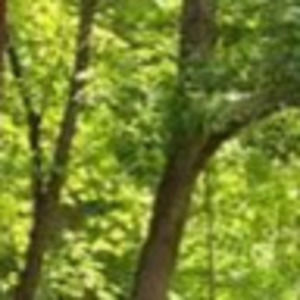 Meet your Posher, Brynn